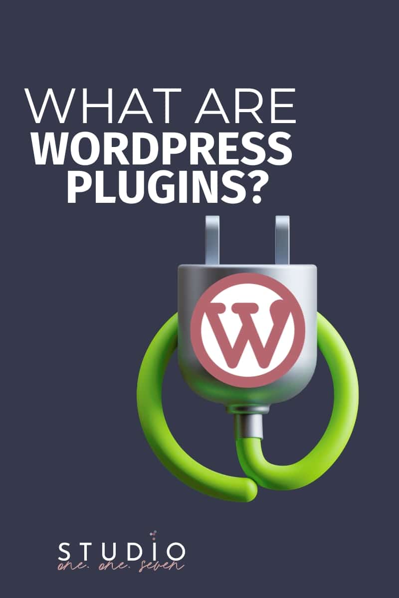 updating wordpress plugins - what are wordpress plugins