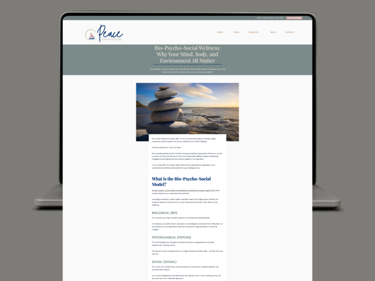 Screenshot of Peace Counseling Center blog page titled Bio-Psycho-Social Wellness: Why Your Mind, Body, and Environment All Matter, with a stone stack image and article text panel